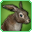 File:Brown Rabbit-icon.png