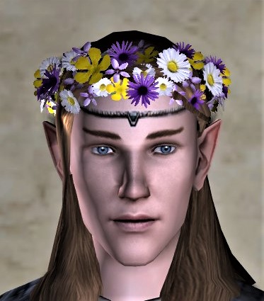 File:Circlet of Fresh-picked Flowers-front.jpg