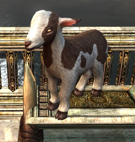 File:Mottled Goat Kid.jpg
