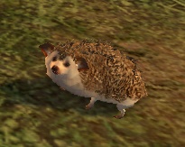 File:Hedgehog.jpg