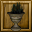 File:Potted Golden Mallos-icon.png