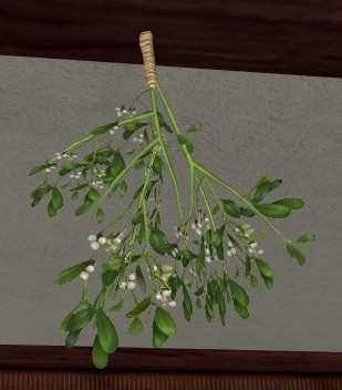 File:Mistletoe.jpg