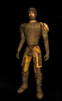 File:Heavy Bronze Outfit.jpg