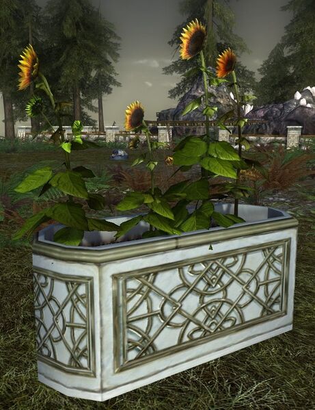 File:Alabaster Planter with Sunflowers.jpg