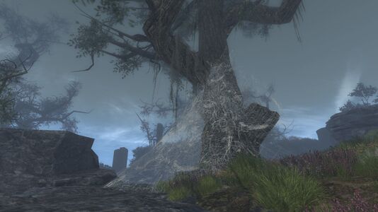 The trees of Nettinglade are caked with webs