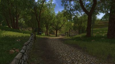 Canopied road in the Delving Fields