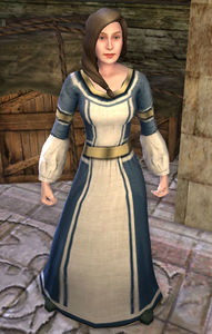 Image of Dol Amroth Quartermaster (Housing Decorations)