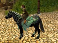 Image of Steed of Rivendell (Pony)