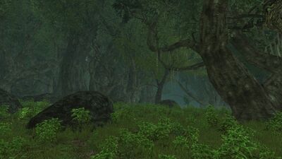 Another view of the Dire Glade