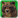 Friend of Bears-icon.png