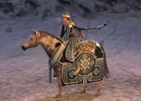 Image of Wintertide Steed