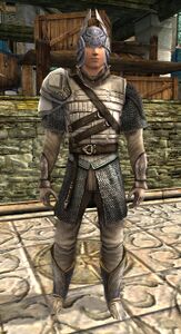 Image of Dol Amroth Quartermaster (Warden Armour)