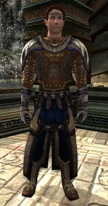 Image of Dol Amroth Quartermaster (Rune-keeper Armour)