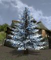 Silver Decorated Outdoor Yule-tree