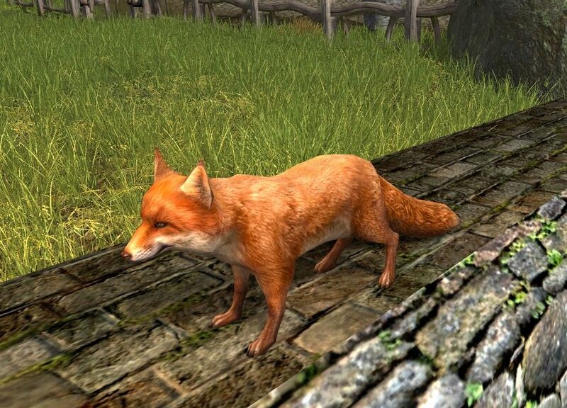 File:Red Fox (Cosmetic Pet).jpg