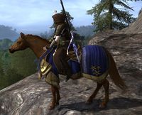 Image of Steed of Elessar's Host Horse