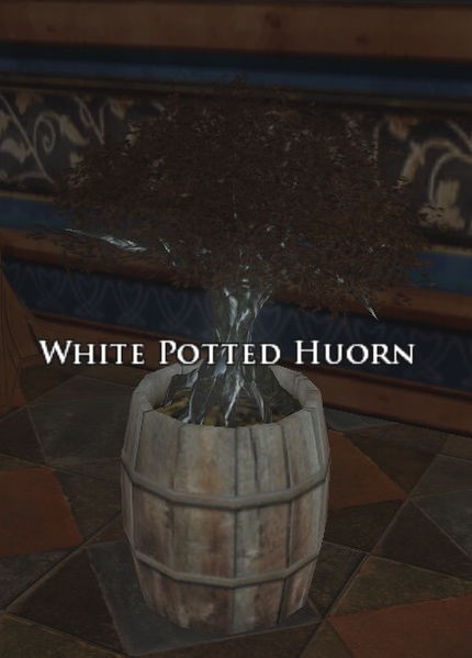 File:White Potted Huorn.jpg
