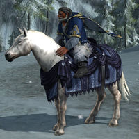 Image of Steed of Winter Winds (Pony)