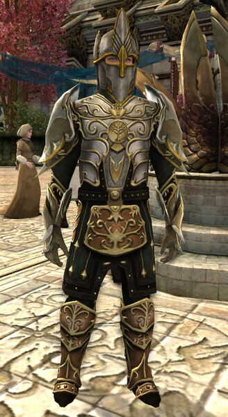 File:Dol Amroth Quartermaster - Beriadir - (Champion Armour).jpg