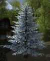 Silver Celebratory Outdoor Winter Tree