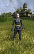 Elvish Hunter