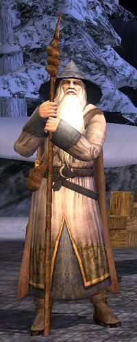 Costume of Gandalf the Grey