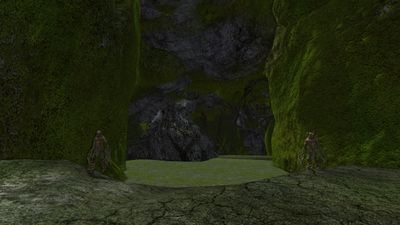 Entrance to the mossy cave system in the grove