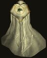 Cloak of the Westfold