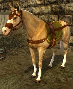 Image of Ranger's Horse