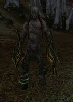 An Entangled Wood-troll of Enedwaith.