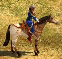 Image of Prized Eglan-horse