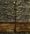 Wall-mounted Staff of the Vales