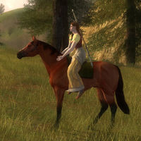 Image of Bree-horse