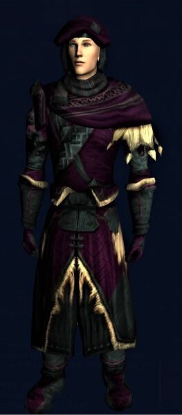 File:Armour of the Wandering Bard (Level 58 front).jpg