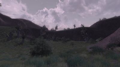 The wilds in the eastern Fields of Fornost