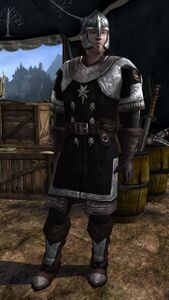 Image of Quartermaster (Host of the West - Camp of the Host)