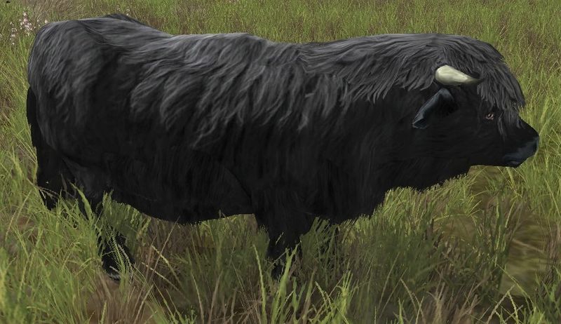 File:Aurochs Herd-cow (Iron Hills).jpg