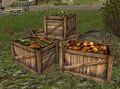 Crates of Vegetables