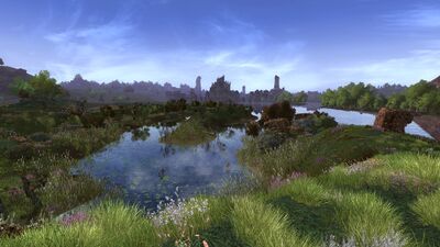 On the east bank north of Tharbad lies the Wadewater of Swanfleet, teeming with life that rises when the Glanduin create numerous streams and islets.