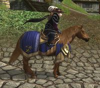 Image of Steed of Elessar's Host Pony