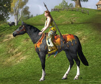 Image of Harvestmath Horse