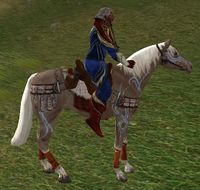 Image of Prized Algraig Horse