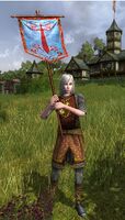 Elvish Shield-maiden Herald of War