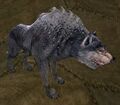 Mountain Warg Appearance 1  