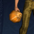 Fall Gourd