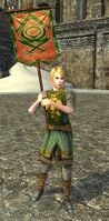 Elvish Swordswoman Herald of Hope