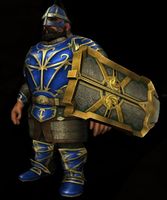 Greater Enduring Heavy Shield of Evasion worn by dwarf