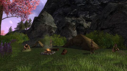 The Elf camp in Nen Hilith