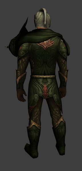 File:Armour of the Wall-warden (Level 65 back).jpg