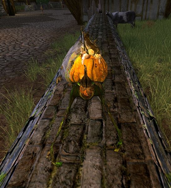 File:Lantern Gourd-lurker.jpg